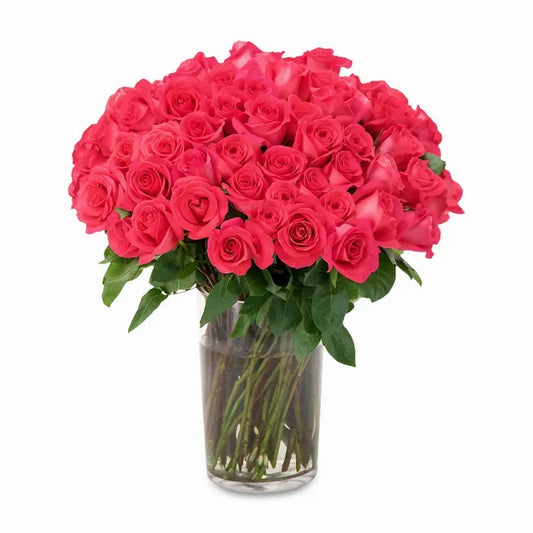 50 pink floyd roses in vase