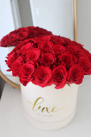 A Lovely Red Roses Box with elegant red roses arranged neatly in a stylish box, symbolizing love and passion, with a touch of sophistication.