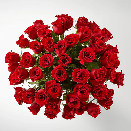 vA minimalist 50 Freedom Red Roses arrangement, featuring 50 stunning red roses arranged in a simple, elegant design, symbolizing love and passion.
