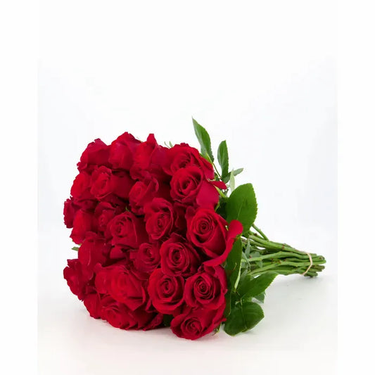 A minimalist Freedom Red Roses arrangement featuring deep red roses arranged simply to highlight their natural beauty and symbolize love and passion.