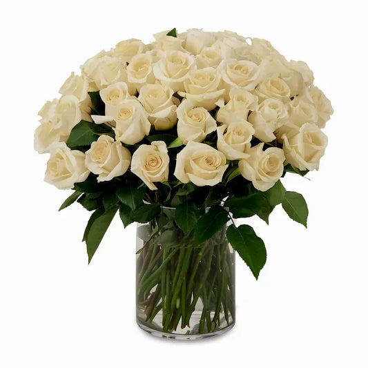 50 white roses in an elegant vase, showcasing a luxurious and timeless floral arrangement for weddings, anniversaries, and special occasions.