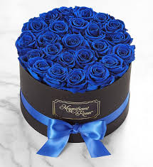 A luxurious Bloomer Blue Rose Box filled with striking blue roses, elegantly arranged in a modern box to create a sophisticated and captivating floral gift.