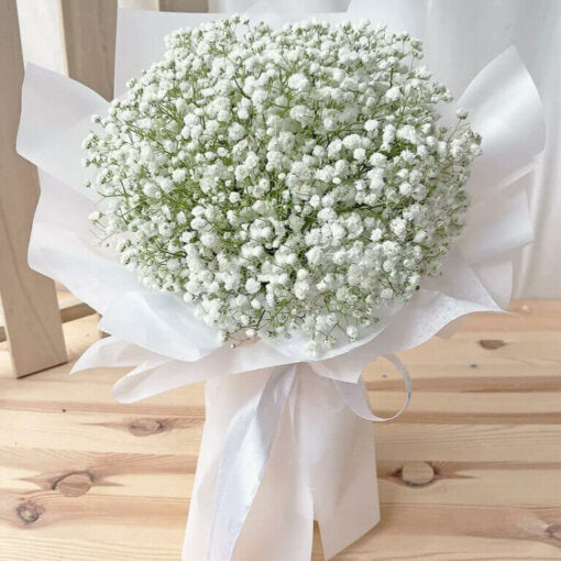 A soft and fluffy arrangement of baby’s breath, with delicate white blooms creating an airy, cloud-like effect, perfect for adding texture and elegance to any floral design.