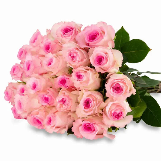 A minimalist Luciano Roses arrangement featuring soft, creamy white roses with a blush pink tint, arranged in a simple and elegant style that highlights their natural beauty. 