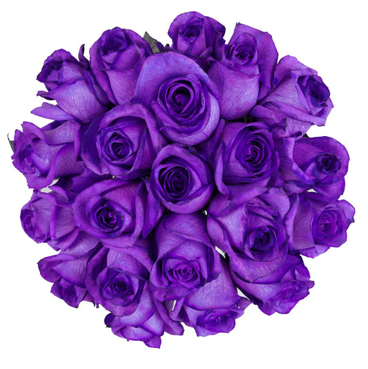  A minimalist Neon Purple Roses arrangement featuring bold, electric purple roses, arranged simply to highlight their striking color and modern elegance. 